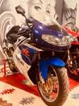 Suzuki TL  TL1000R