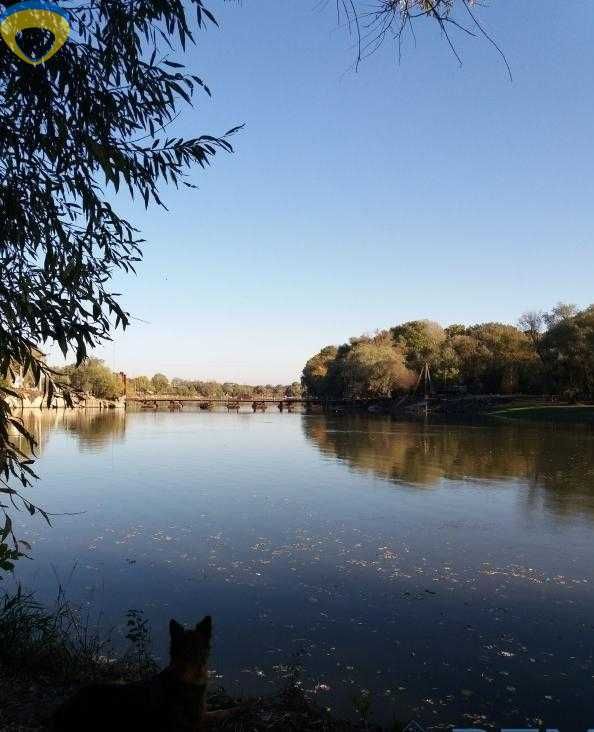 Дом в с. Троицкое, недалеко от реки Турунчук