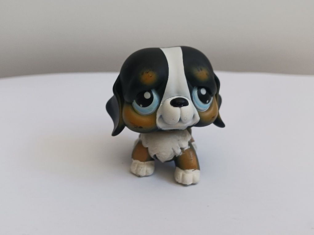 Littlest Pet Shop Cão #145