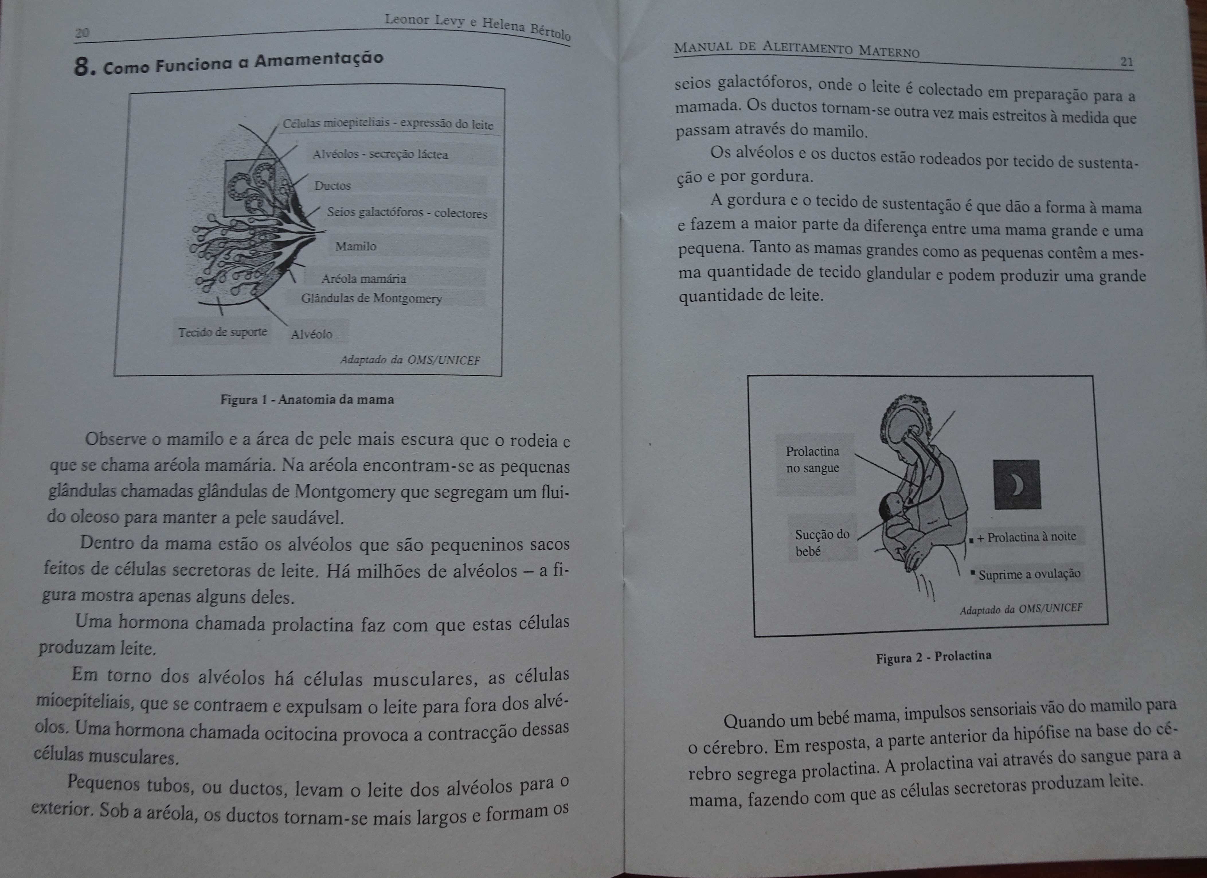 Manual de Aleitamento Materno