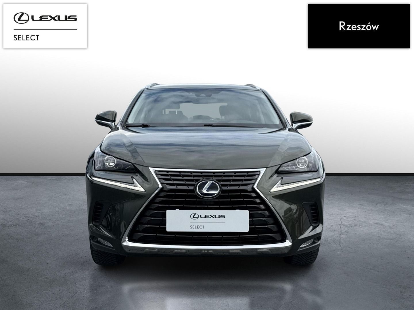 Lexus NX NX300h Business Edition | Piękna zieleń | FVAT 23%