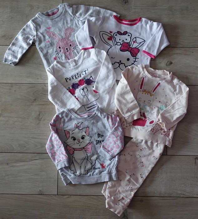 Ubranka dla dziewczynki - bluzki i sweterki - 74