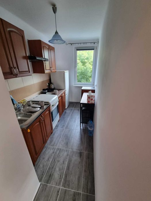 Mieszkanie 2-pokojowe(38 m2) na wynajem max do 12.2026, Nysa, ul.KEN