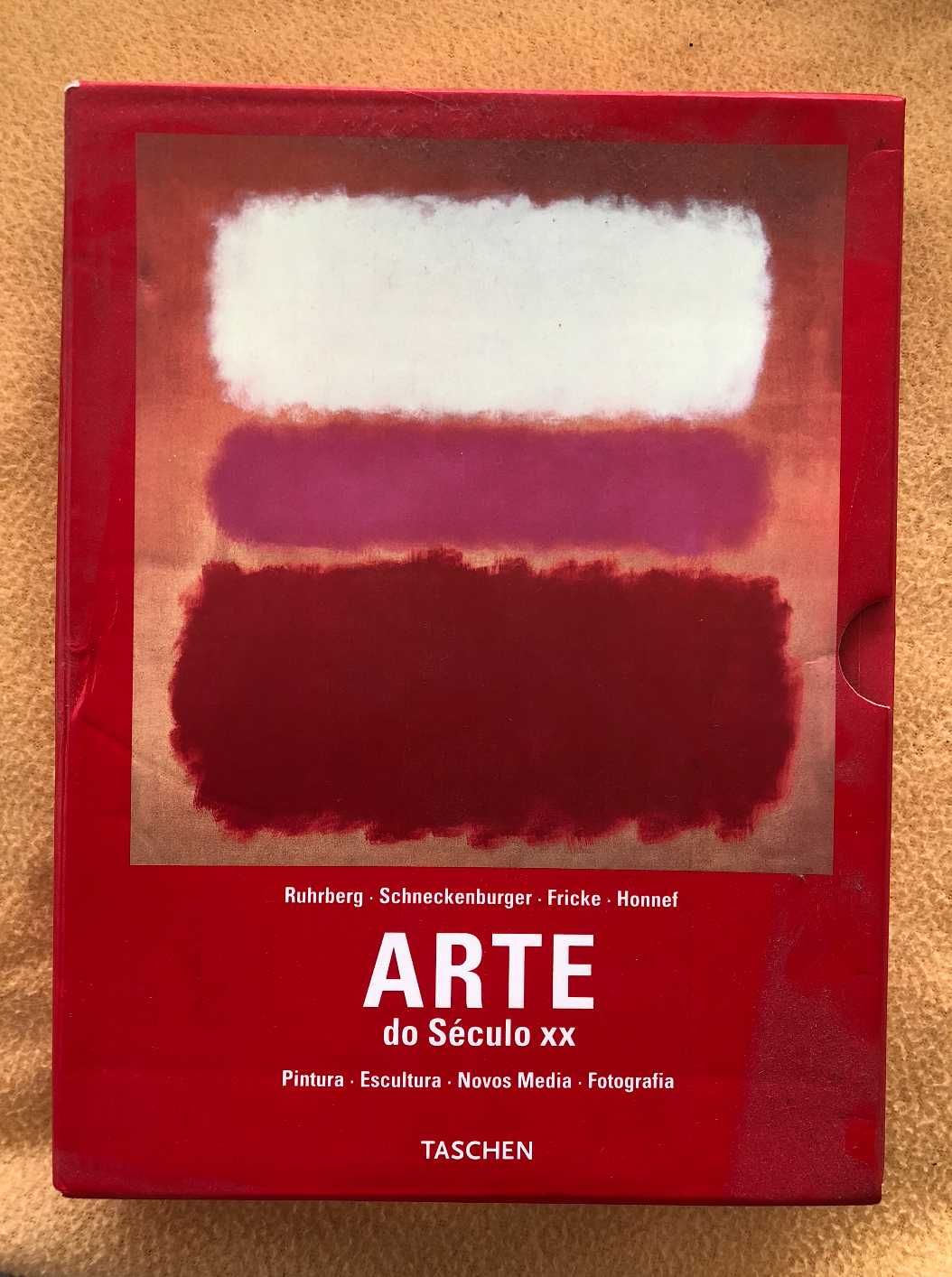 Arte do Século XX