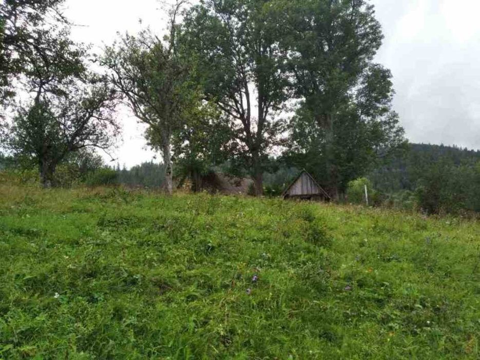 Продається чудова ділянка в курортному селищі Орявчик. Власник!
