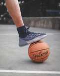 adidas yeezy bsktbl knit