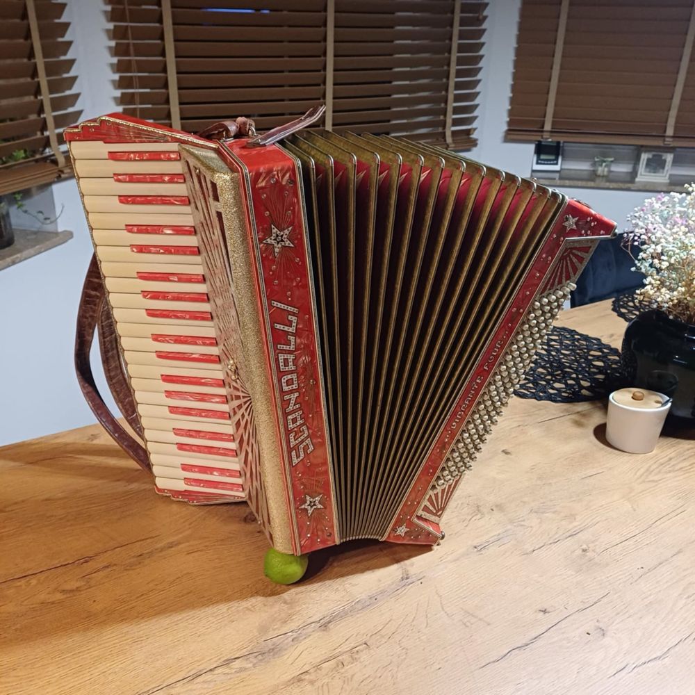 Akordeon włoski scandali vibrante tour 120 basow