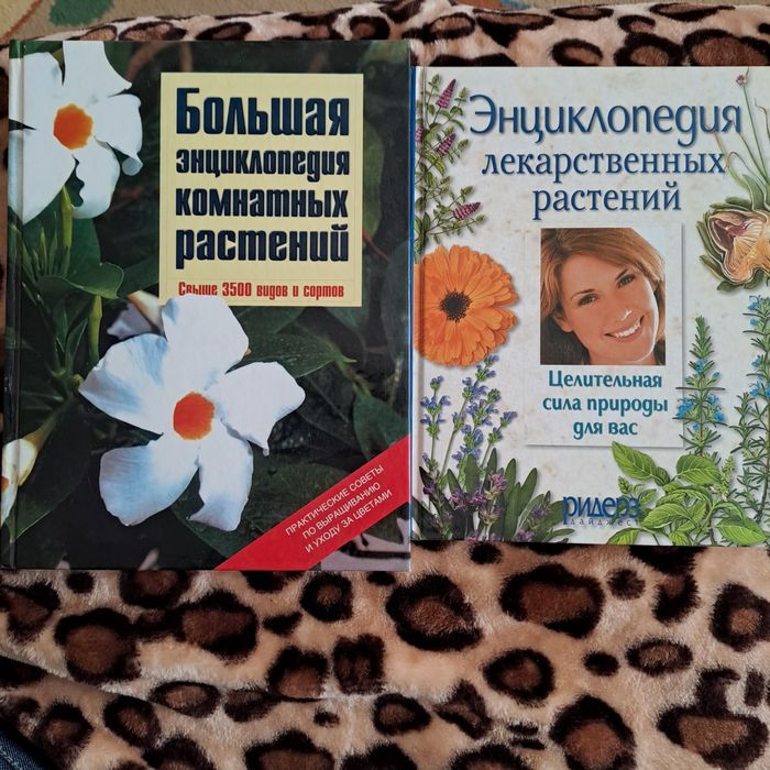 Энциклопедия комнатных растений