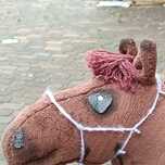 Halter dla hobby horse