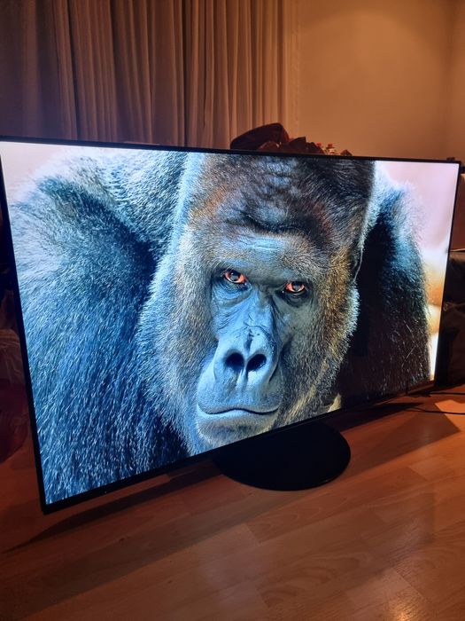 Panasonic 55 OLED Smart TV