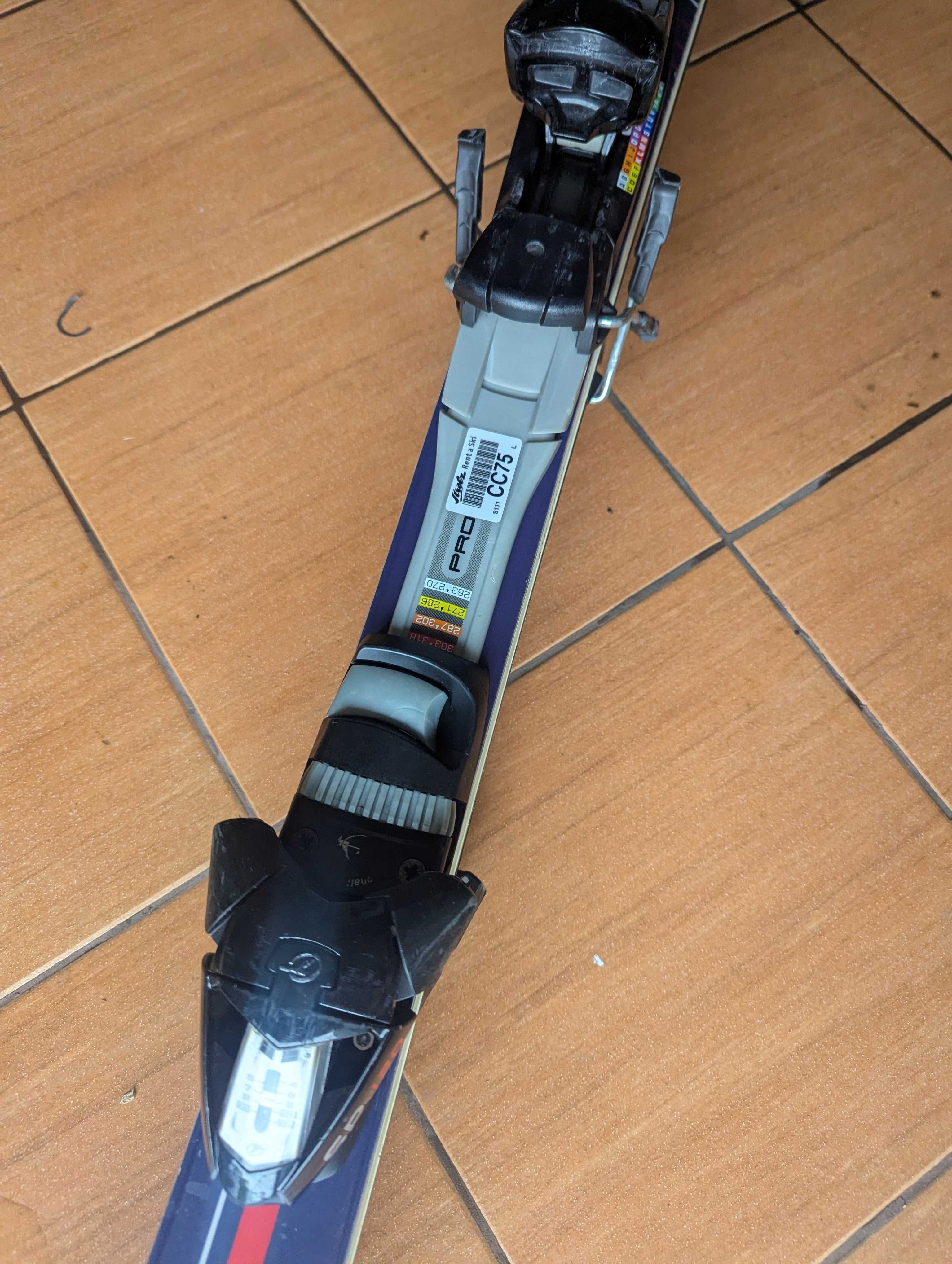 Narty Fischer RC4 SC 170 cm