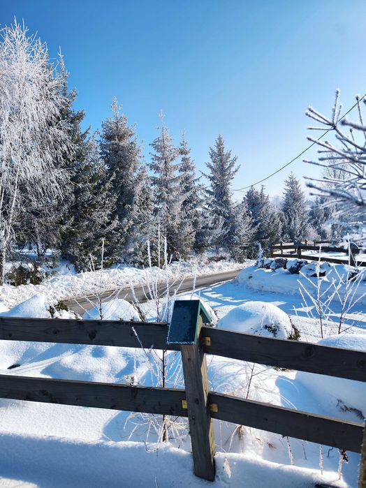 Domki w górach, święta, sylwester, ferie, domek, noclegi, Pieniny