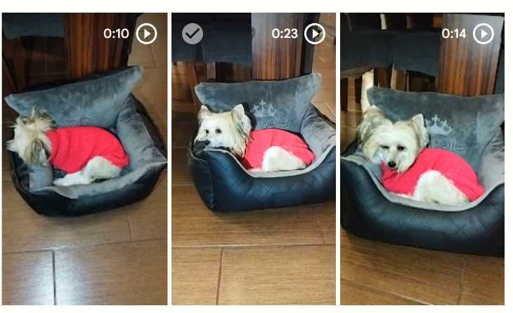 Fotelik samochodowy dla psa soft czarny nowy od Amibelle