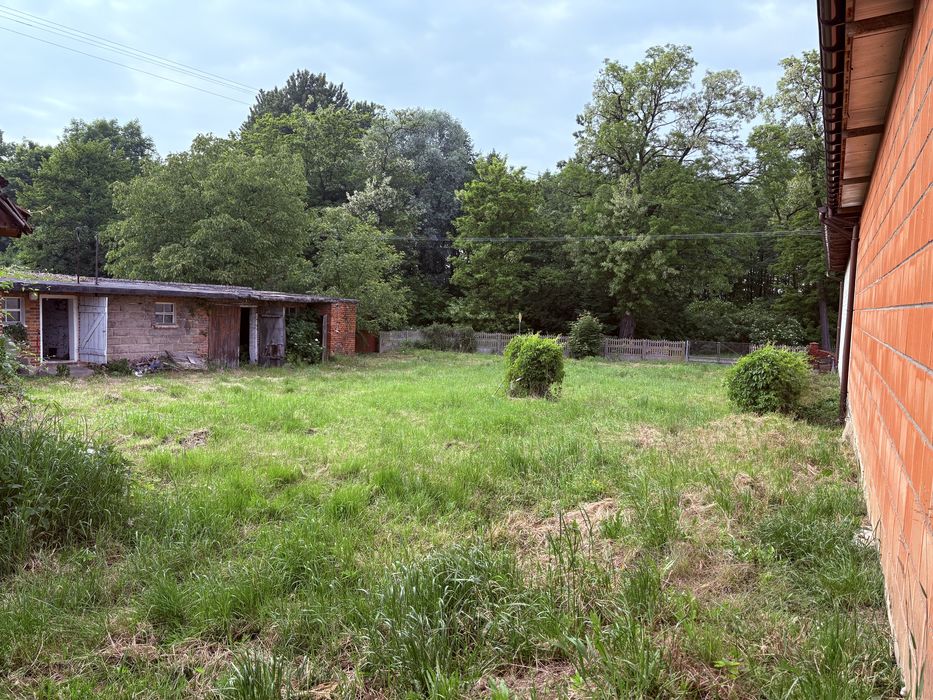 Zagroda siedliskowa 13900 m2 możliwość budowy domu  z płaskim dachem