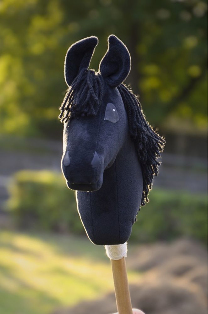 Hobby horse A4 czarny kary