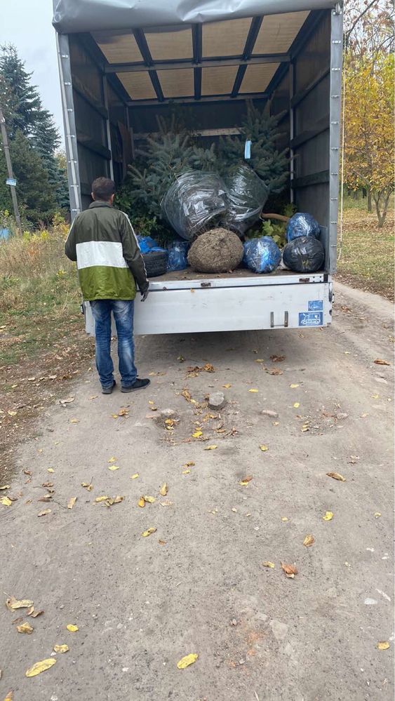 Вантажні Перевезення Грузоперевозки Таксі Послуги Грущиків