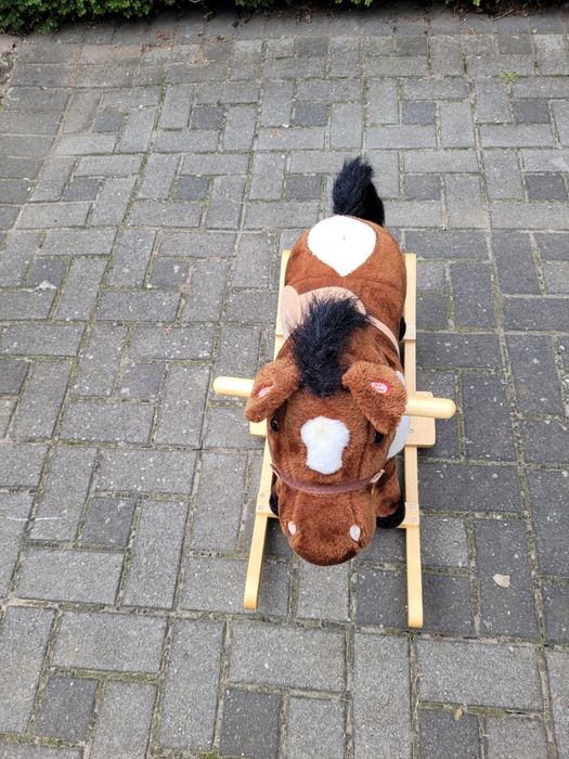 Konik bujany dziecięcy.