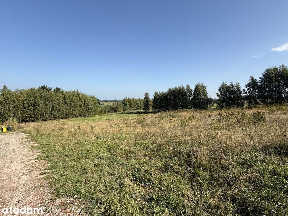 Warzno Działka 1430 m² w pobliżu lasu i jeziora