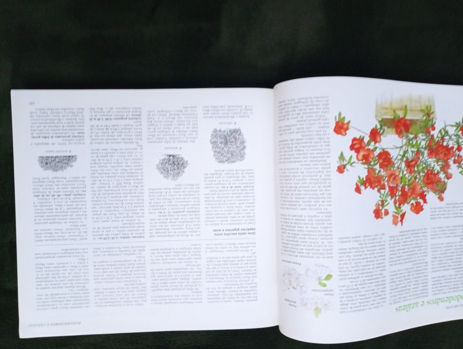 O Livro do Jardim	Editora: Selecções  Reader's Digest -1ª edição 1996