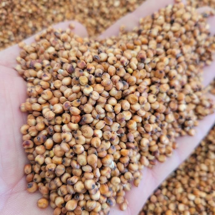Sorgo czerwone 25kg CZYSTE zbiór 2025