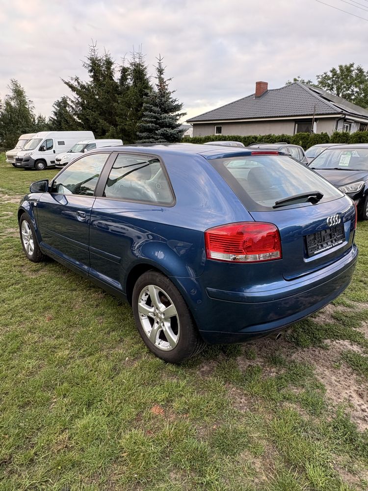 Audi A3 8P 1.6 MPI 2003 ROK Klima ! Polecam