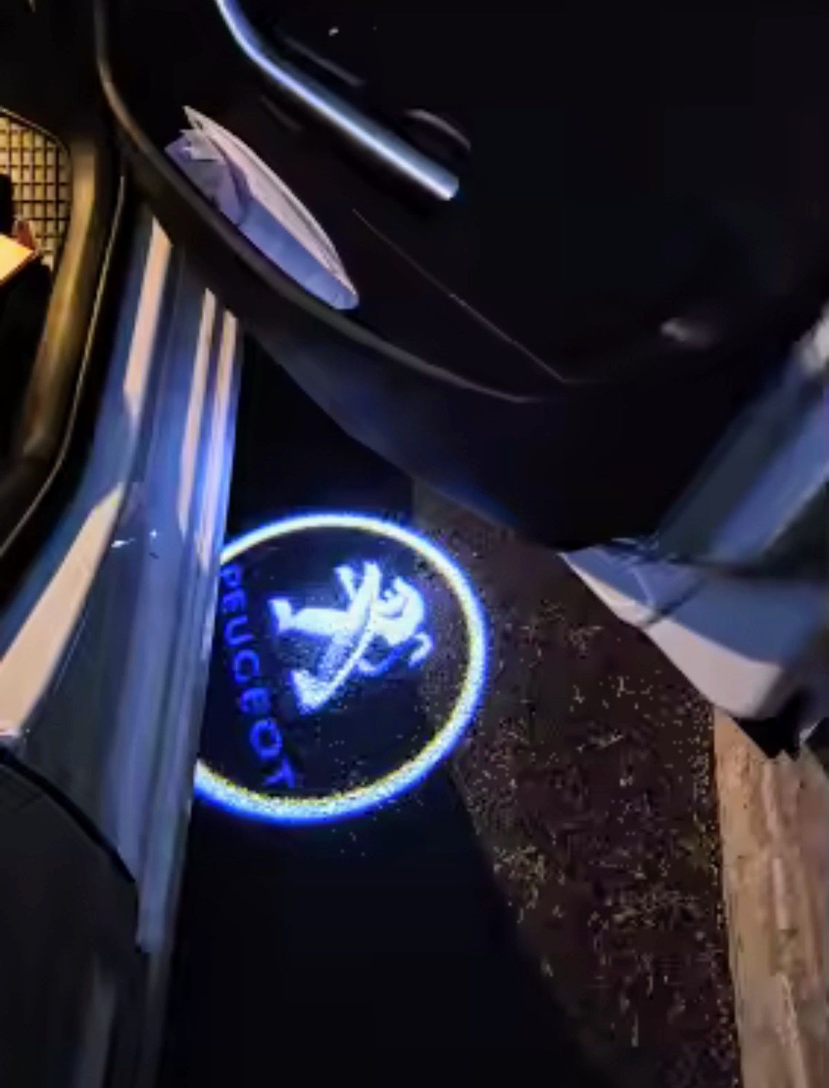 Projektor LED do drzwi Peugeot 407.