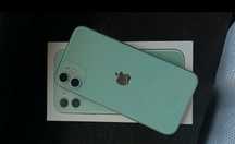 Iphone 11 turkusowy