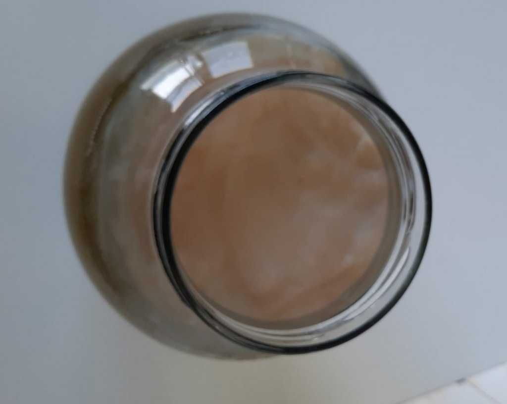 SCOBY starter żywa kolonia i przepis, zrób samodzielnie napój KOMBUCHA