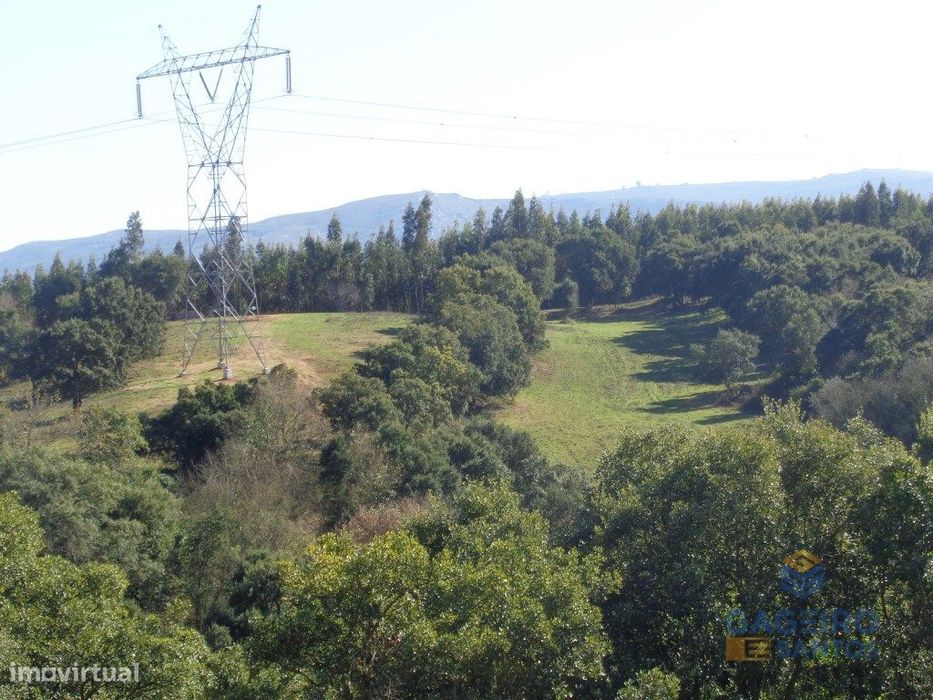 Terreno rústico, em Cadaval