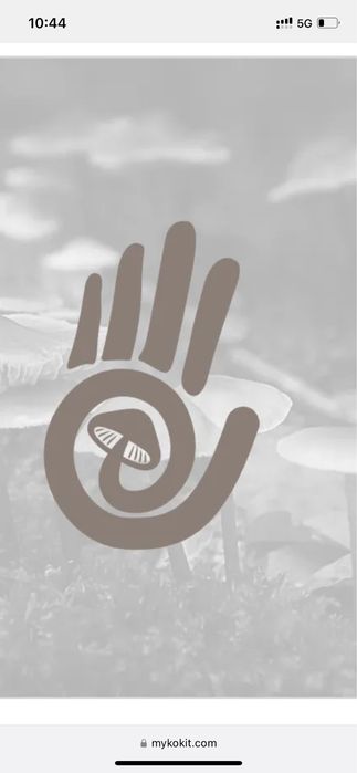 Grzybnia growkit Soplowka jeżowata, Reishi, boczniak