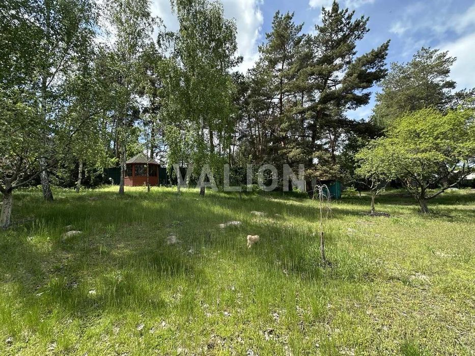 Без % Продаж дачного будинку на ділянці 80 соток в с. Проців