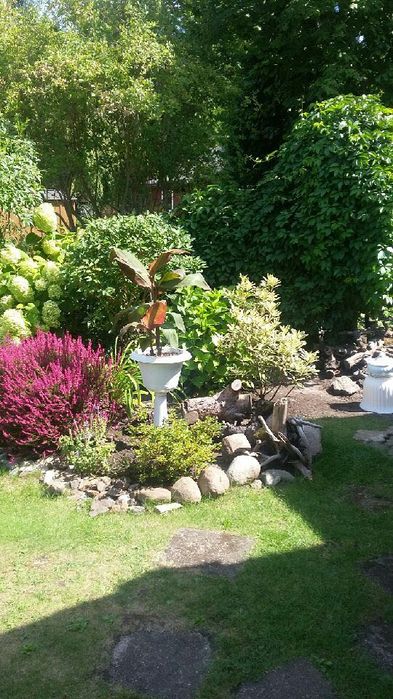 Pilnie sprzedam ogródek działkowy ROD RAJ