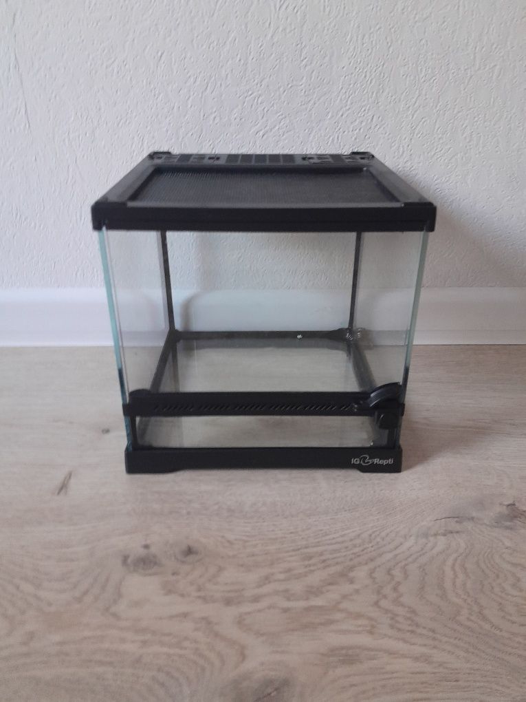 Terrarium dla pająka