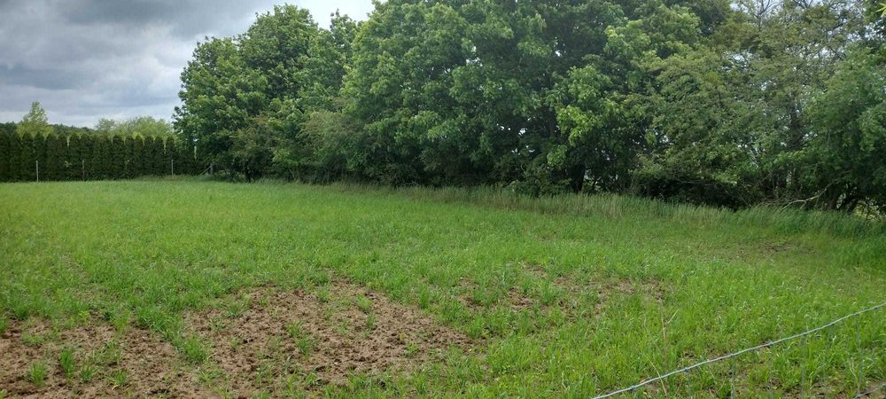 Działka na sprzedaż - idealna inwestycja!