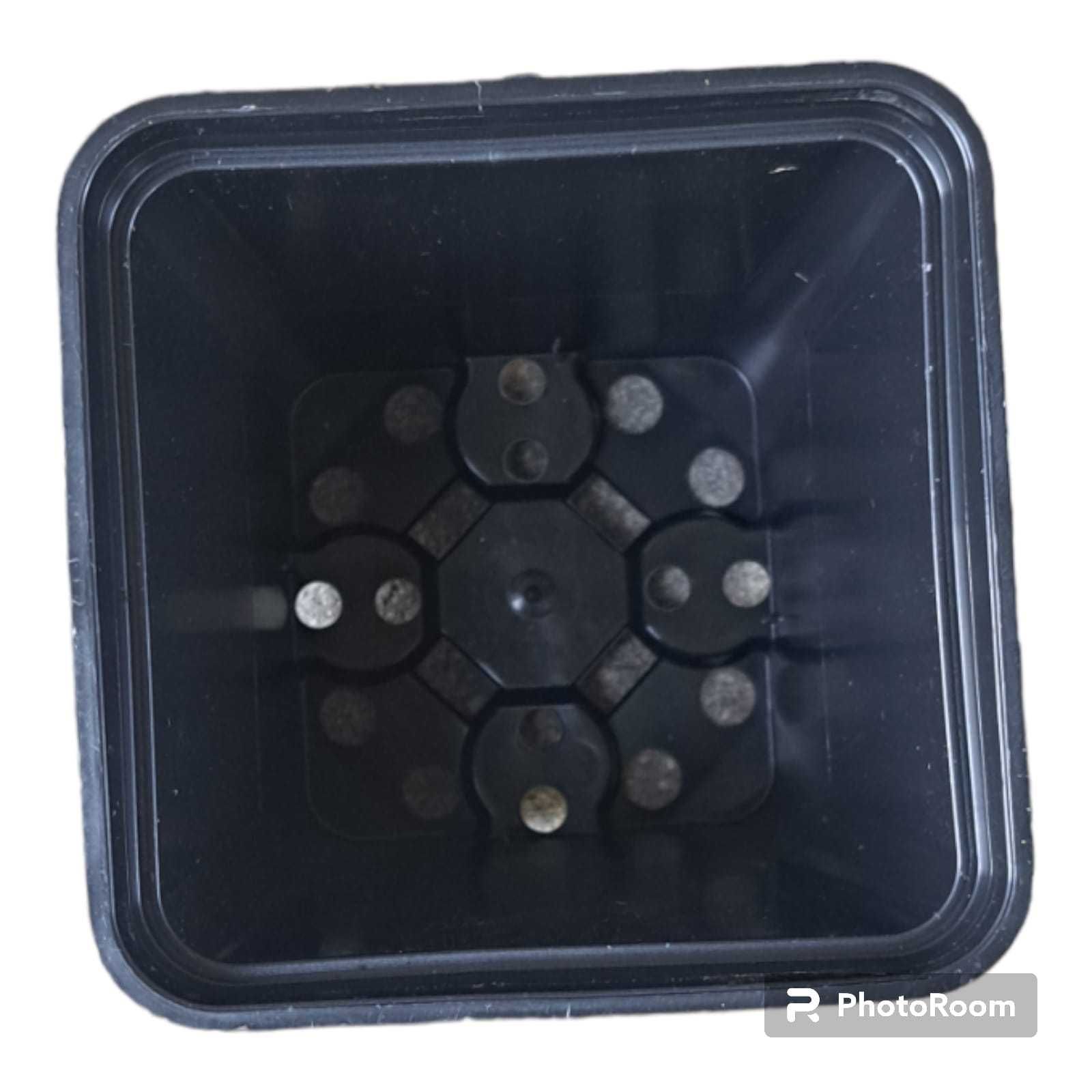 Doniczki produkcyjne P9 cm 250szt 0,6L