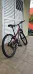 Bicicleta coluer randy 240