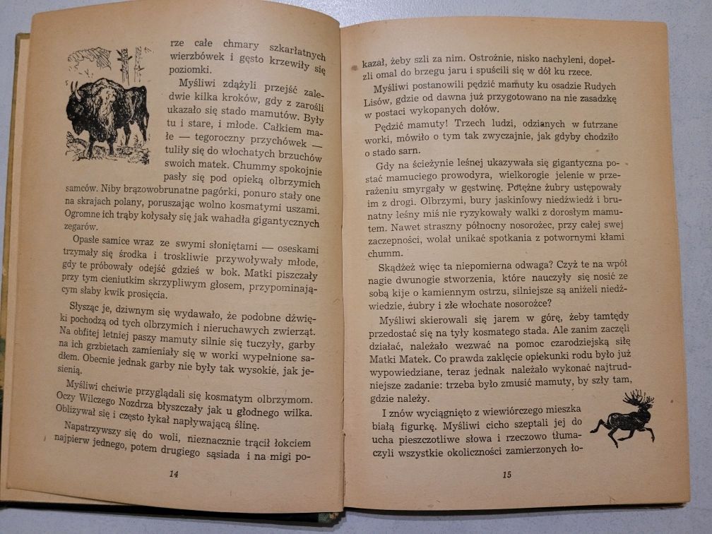 Na tropach mamutów. S. W. Pokrowski
