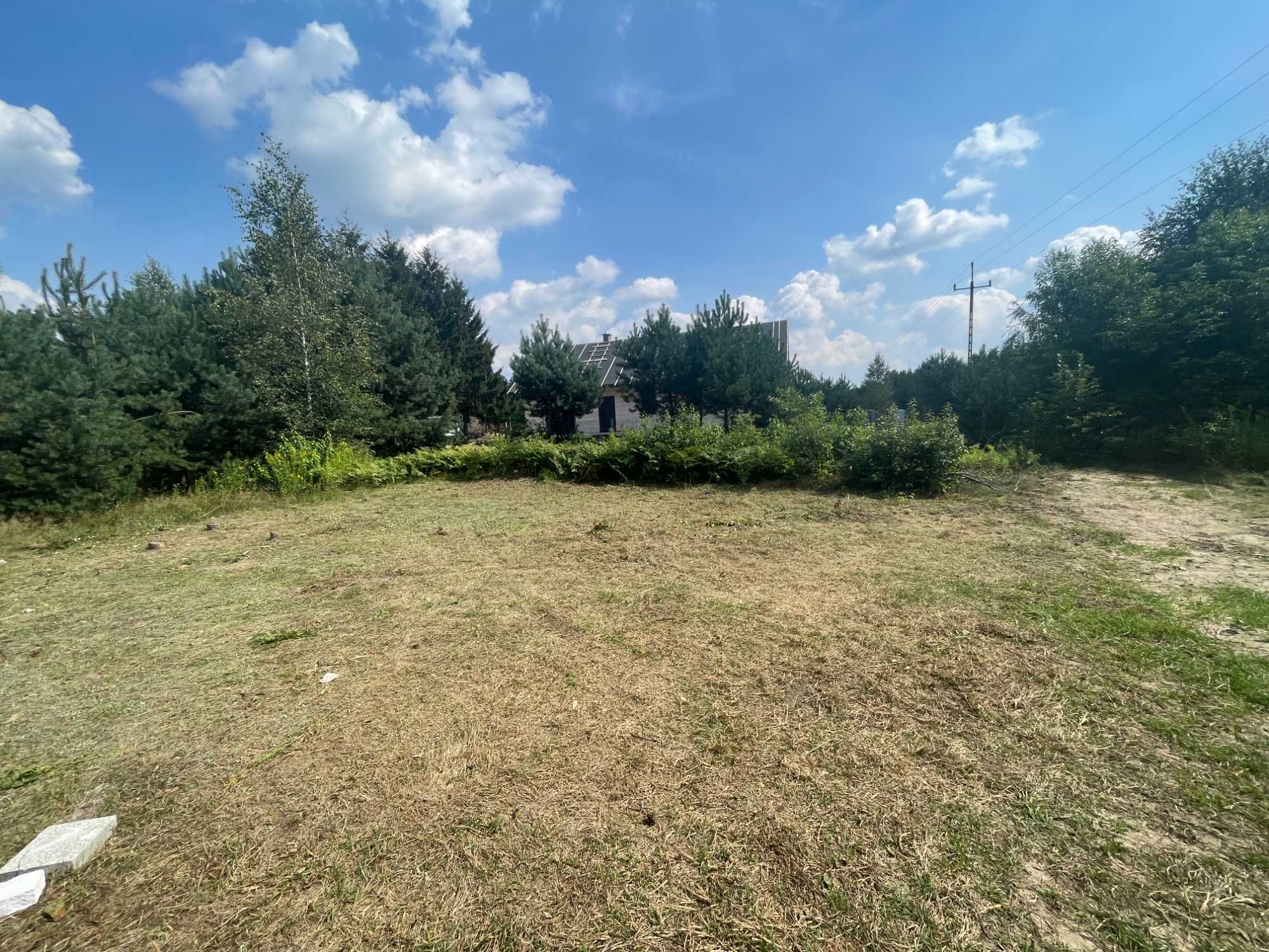 Porządkowanie działki, rębak do gałęzi, czyszczenie terenu, wywóz ŁÓDŹ