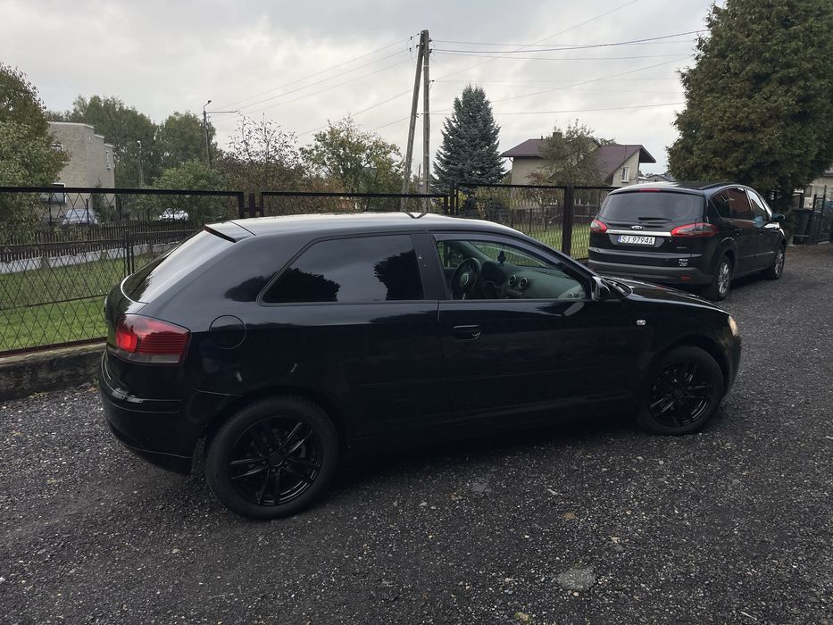 Audi a3 8p 1.9tdi
