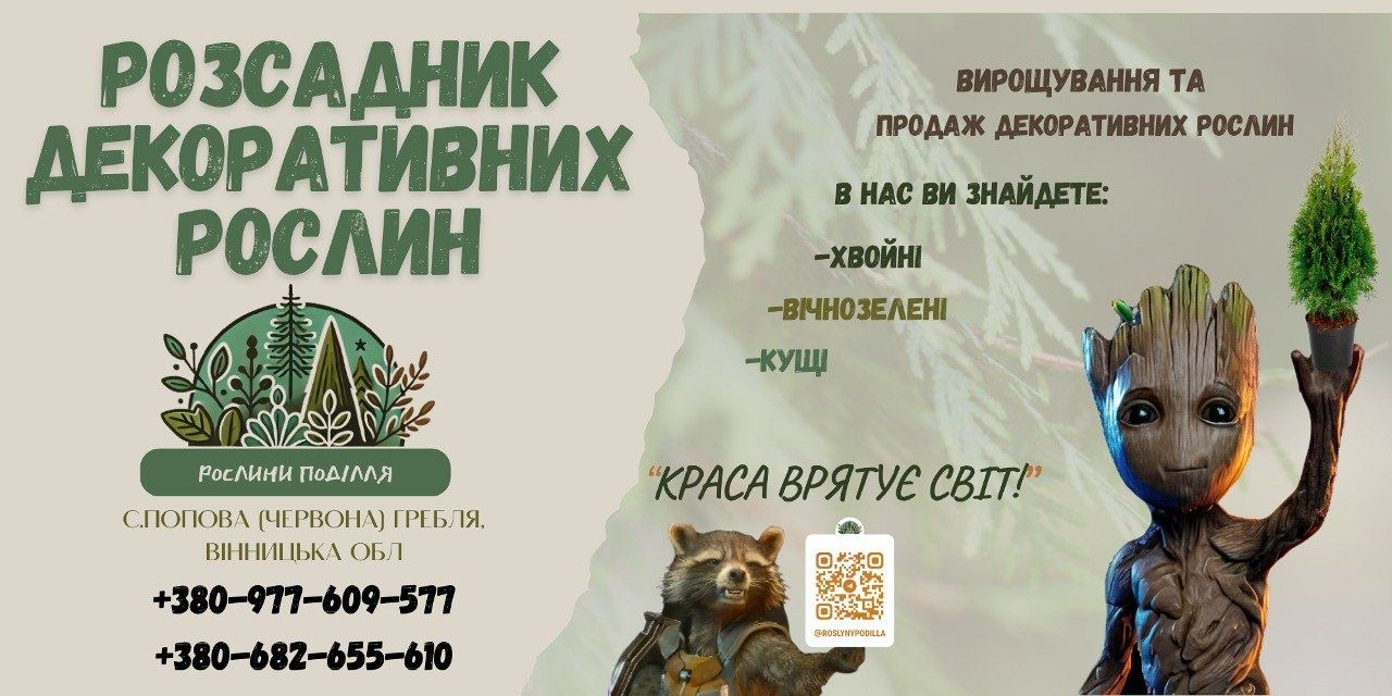 Декоративні рослини
