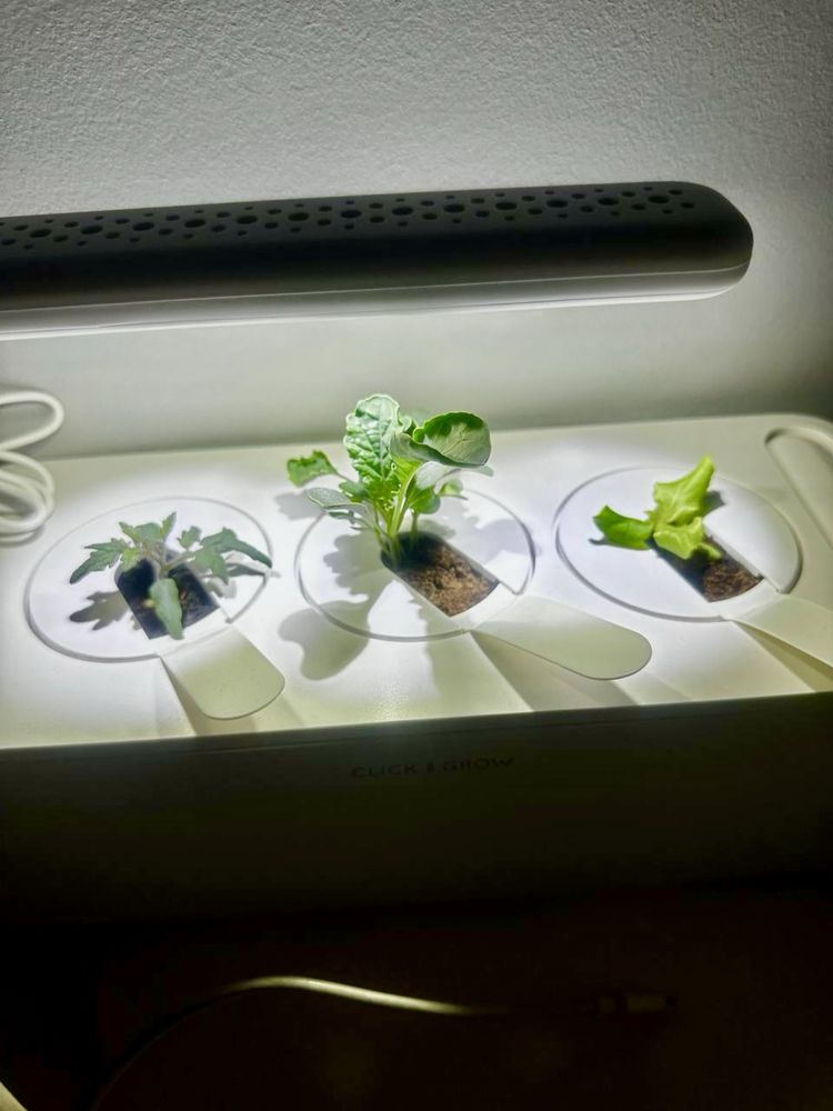Inteligentna doniczka Smart Garden 3 Click&Grow biała