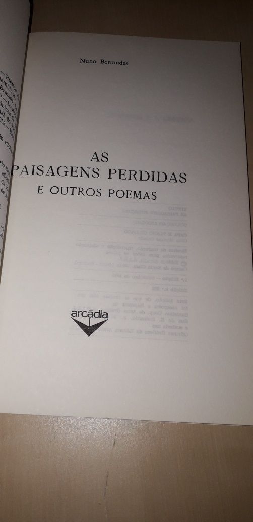 As Paisagens Perdidas - Nuno Bermudes (1ª edição, 1990)