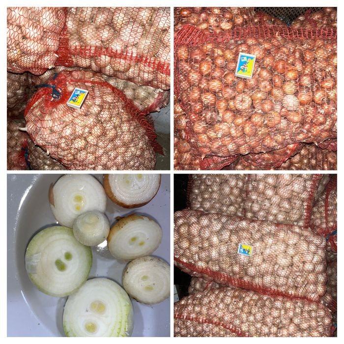 Продам цибулю Штутгарт