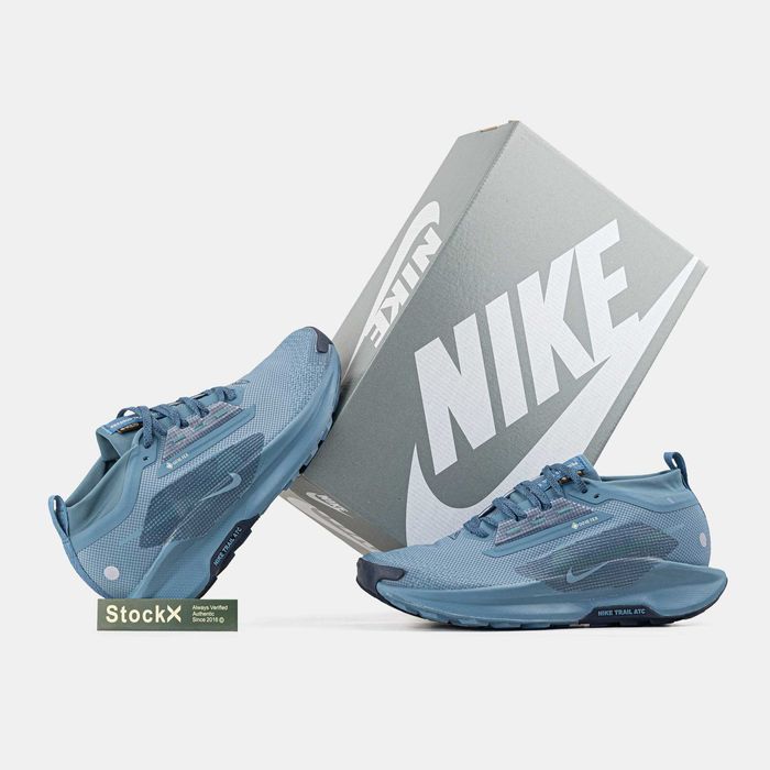Мужские кроссовки Nike Pegasus Trail 5 GTX Gore-Tex "Blue" 41-45