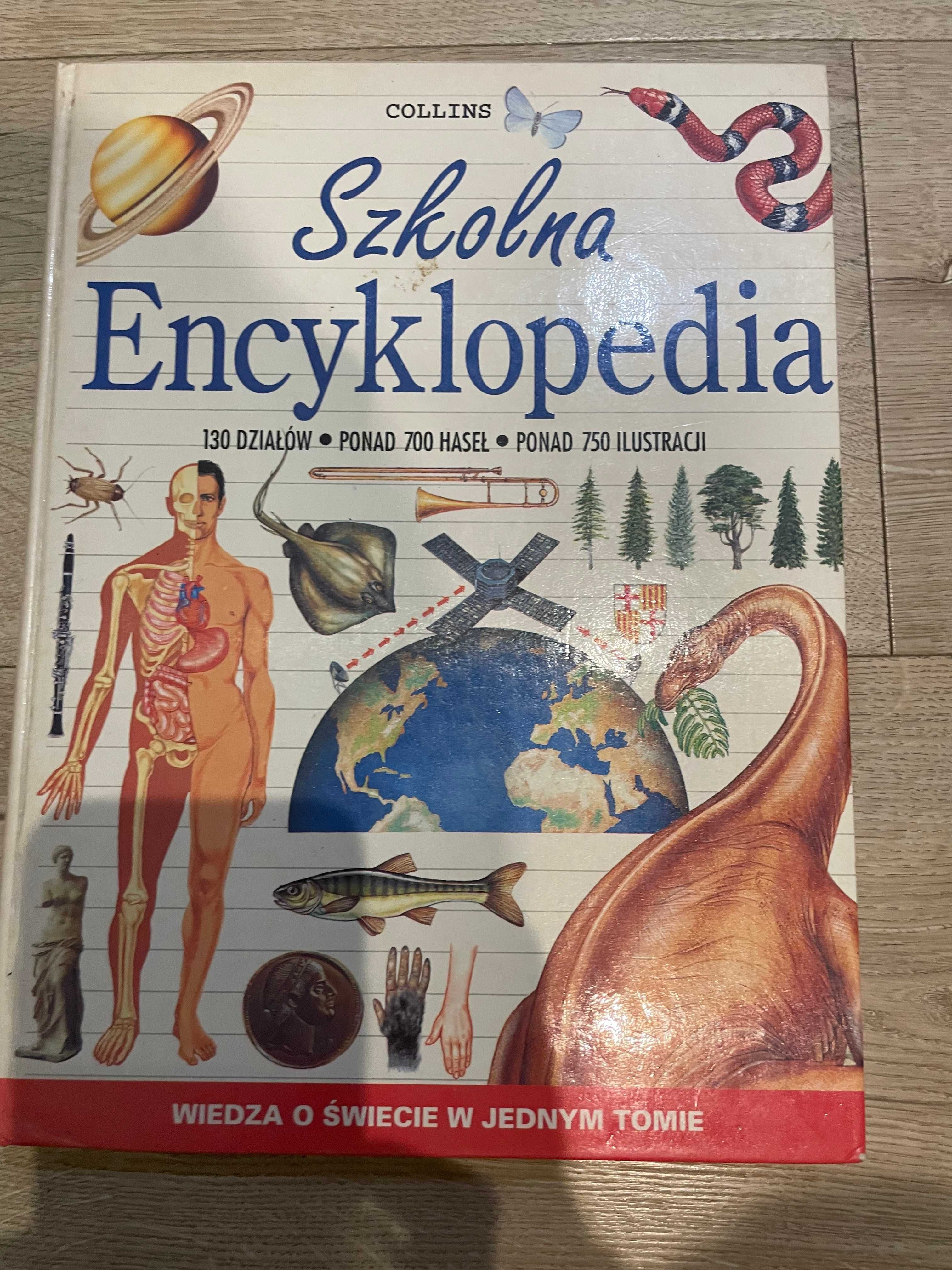 Szkolna encyklopedia Collins Wiedza o świecie w jednym tomie