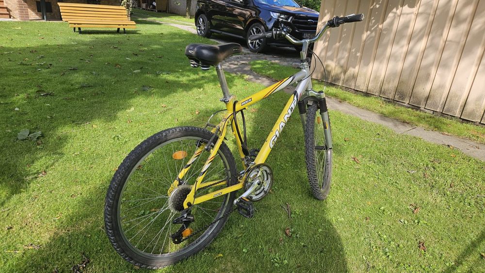 Rower Giant  Rama 17