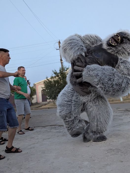 Лабубу.аниматоры Николаев, Ведмідь,Заяць,Шрек,Панда,Стич,Горилла