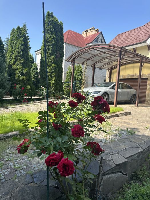 Оренда будинку з убежищем , для целителей здоровья и природи