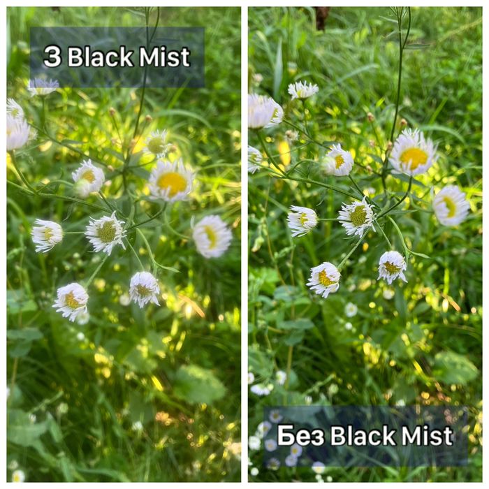 52 мм Black Mist 1/4 Black Soft Filter для смартфона фільтр
