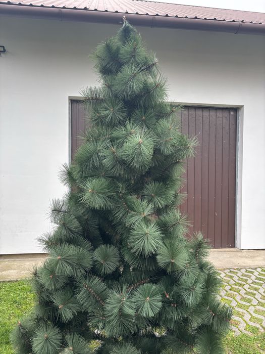 Sztuczna choinka sosna
